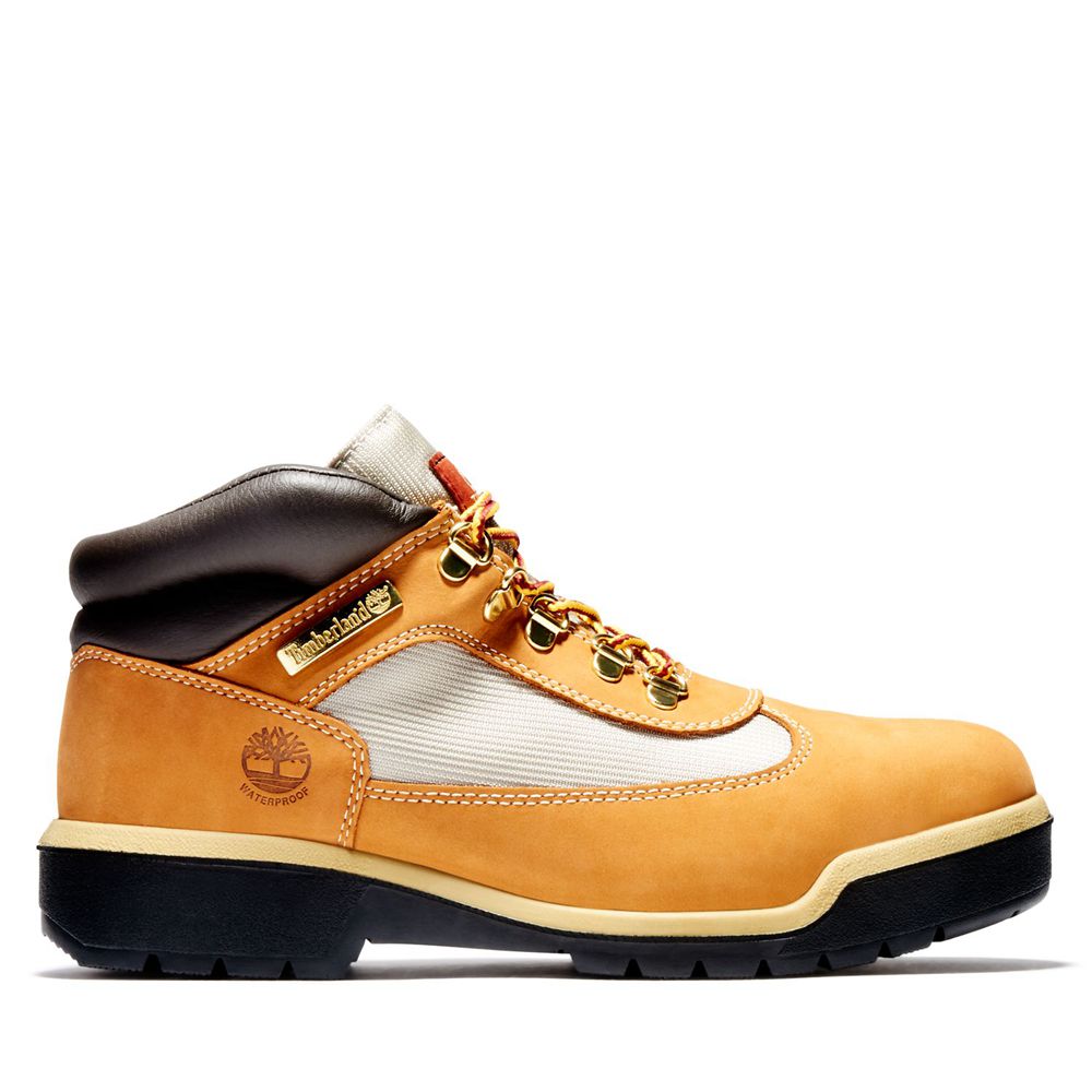 Tênis Masculino - Timberland Impermeavel Field Boots - TDYZJ4396 - Marrom/Pretas